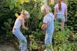 Groente en fruit 2