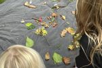 Op avontuur door het bos! 4